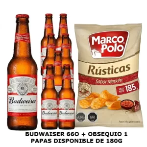 8BUDWAISER 660 + OBSEQUIO